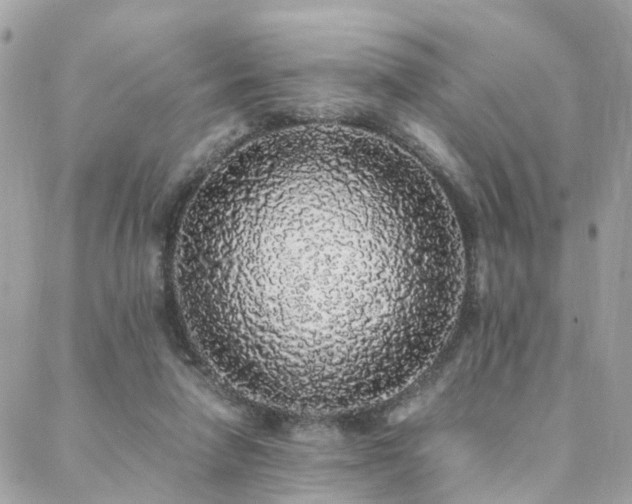 X0000088420258200705221229