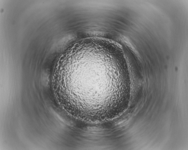 X0000088420259200705221229