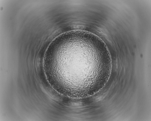 X0000088420263200705221229