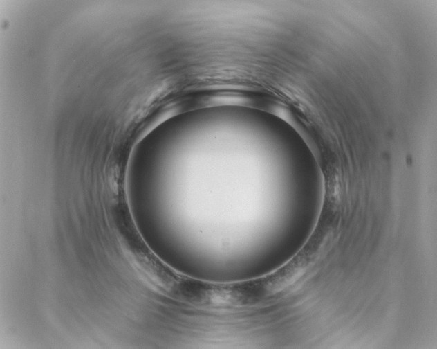 X0000088420264200705221229