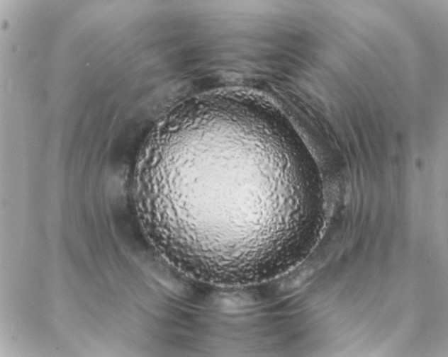 X0000088420275200705221230