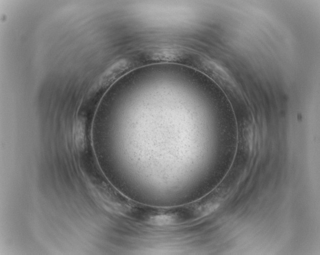 X0000088420312200705221229
