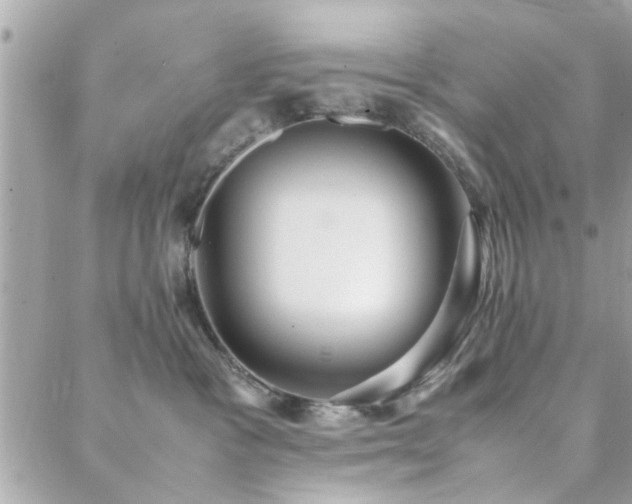 X0000088420333200705221228