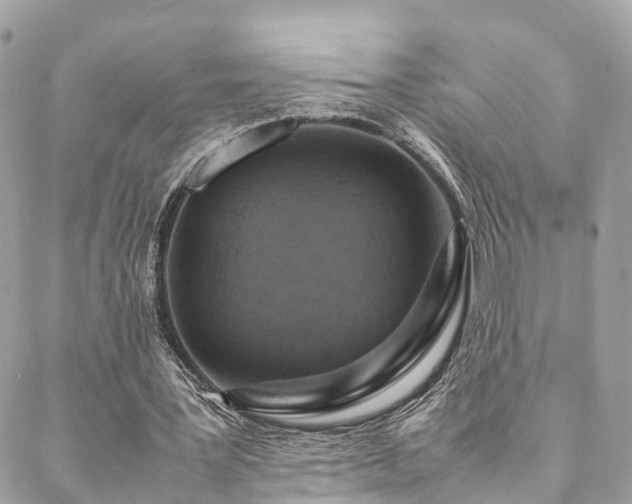 X0000088420387200705221227