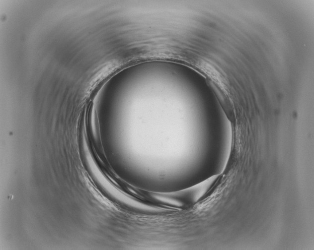 X0000088420389200705221227