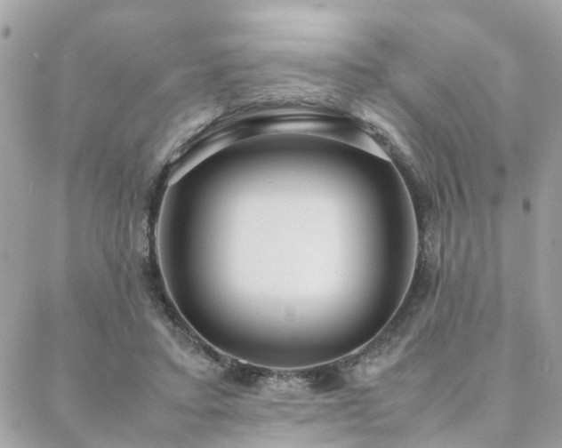 X0000088420403200705221227