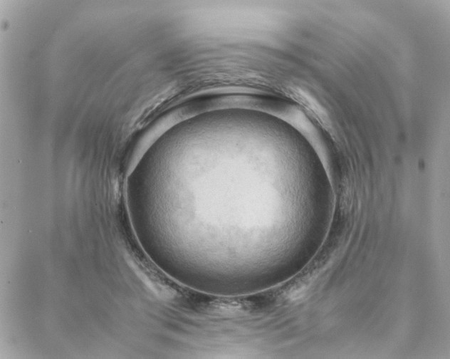 X0000088420405200705221227