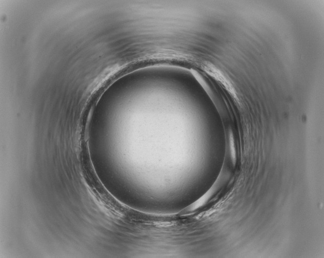 X0000088420436200705221226