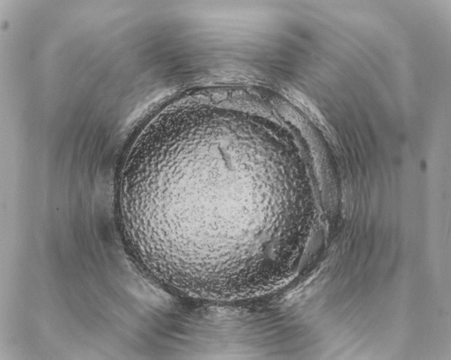 X0000088420442200705221226