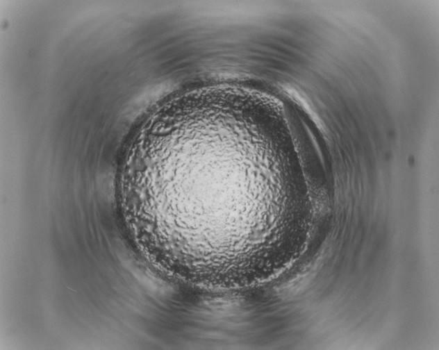 X0000088420447200705221226