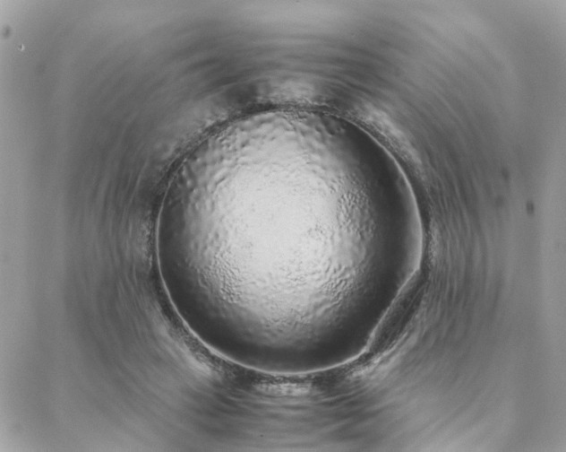 X0000088420449200705221226