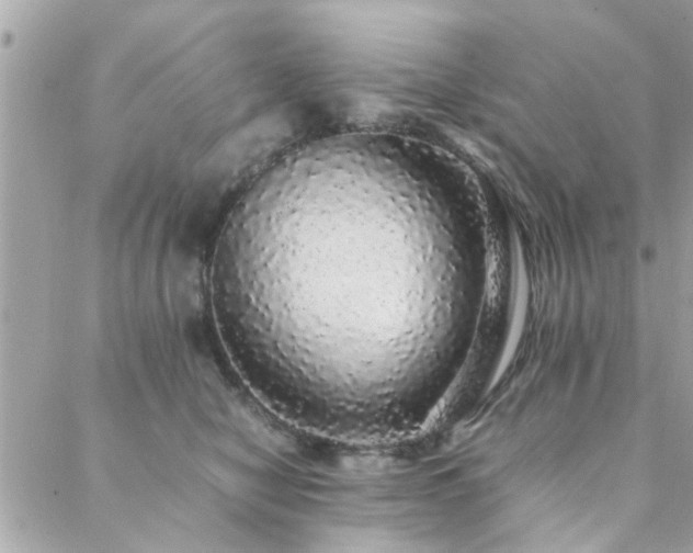 X0000088420470200705221226