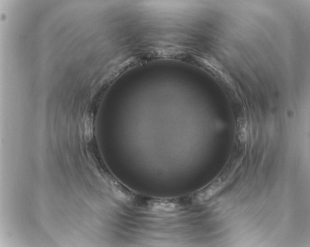 X0000088420471200705221226