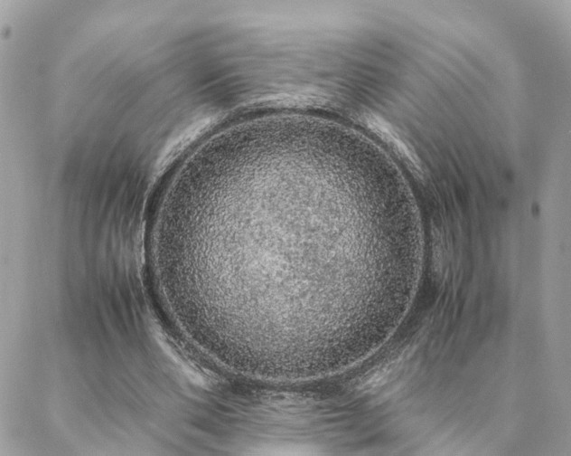 X0000088420486200705221226