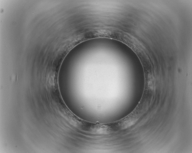 X0000088420514200705221225
