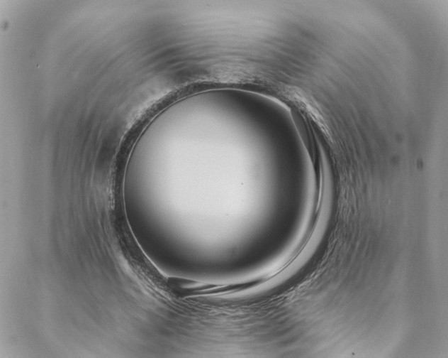 X0000088420536200705221224