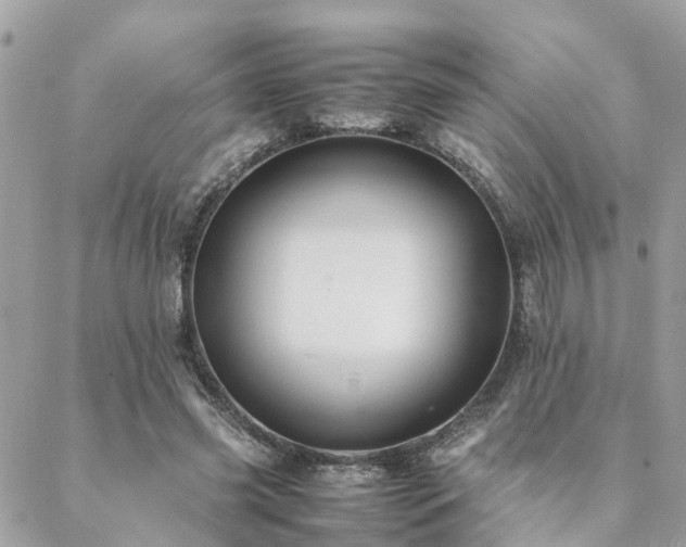 X0000088420541200705221224