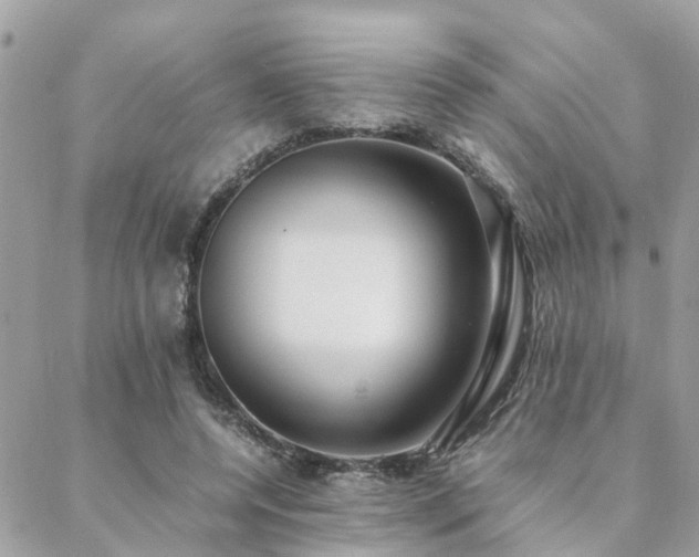 X0000088420544200705221225
