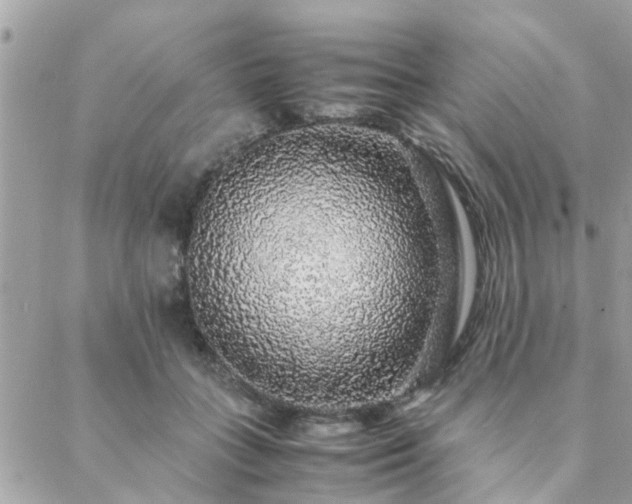 X0000088420555200705221225