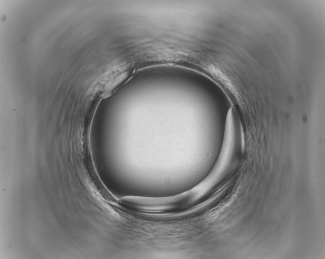 X0000088420581200705221224