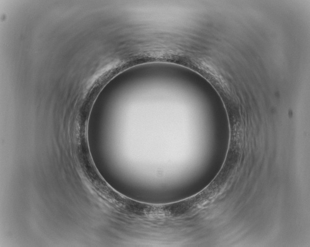 X0000088420587200705221224