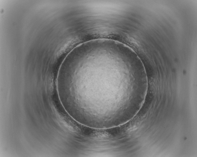 X0000088420642200705221223