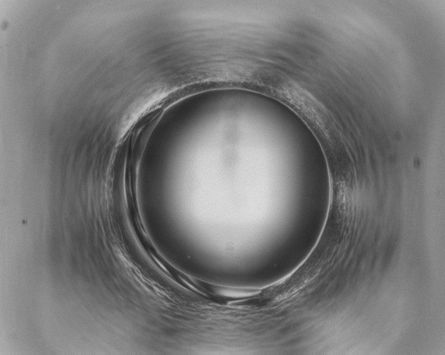X0000088420676200705221223
