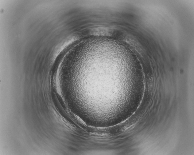 X0000088420727200705221221