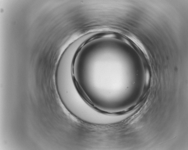 X0000088420813200705221220