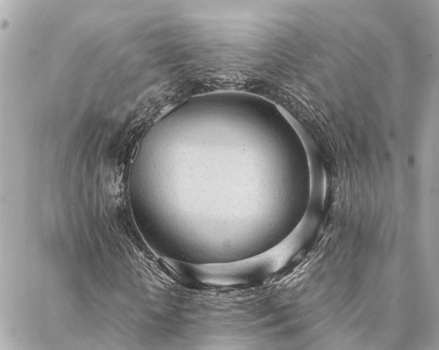 X0000088420818200705221220