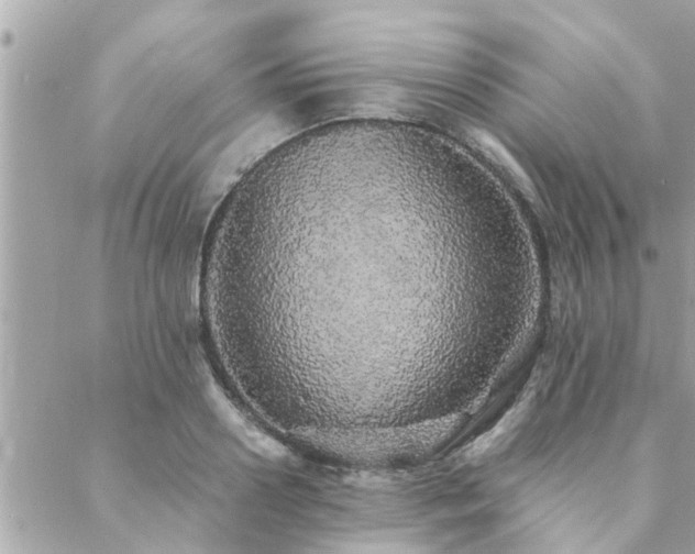 X0000088420938200705221218