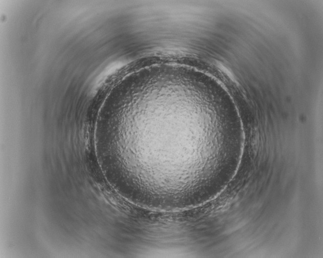 X0000088421016200705221217