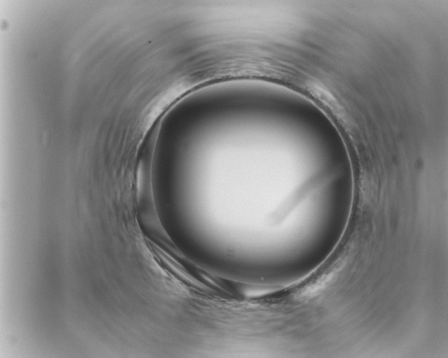 X0000088421089200705221216