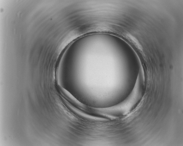 X0000088421226200705221214