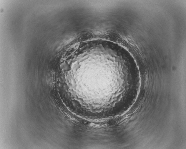 X0000088421301200705221212