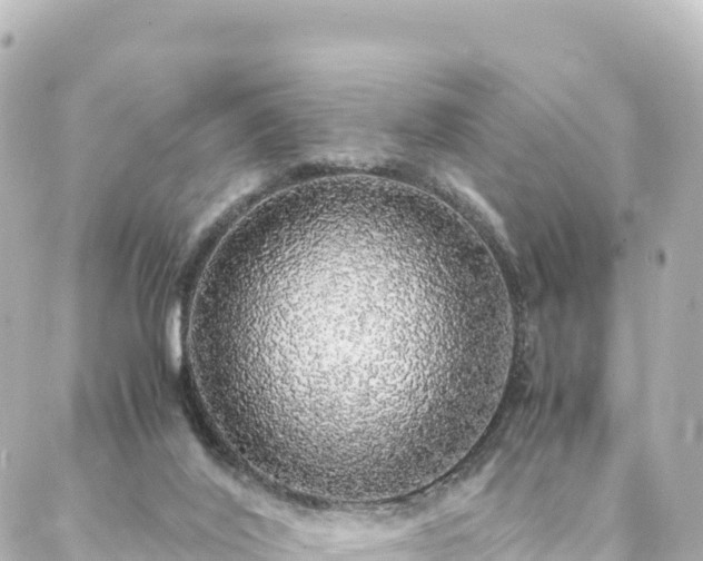 X0000088420020200705291511
