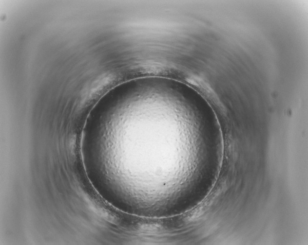 X0000088420066200705291510