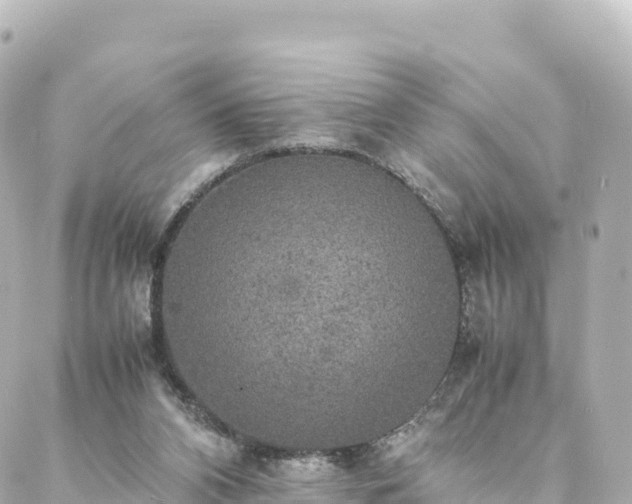 X0000088420112200705291510