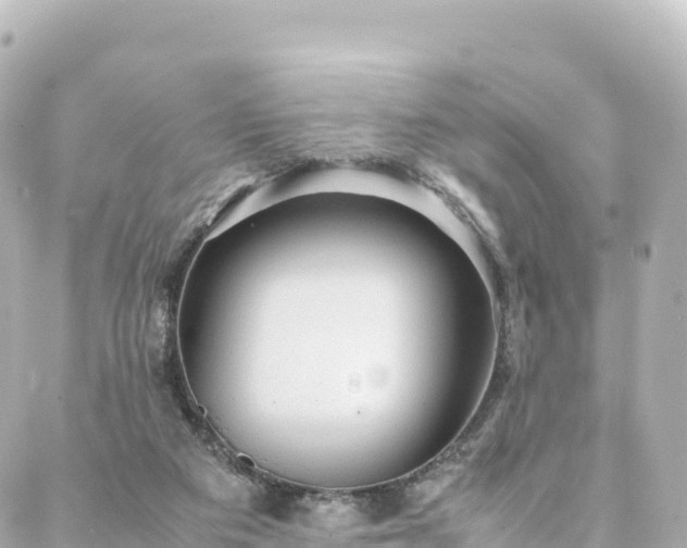 X0000088420113200705291510