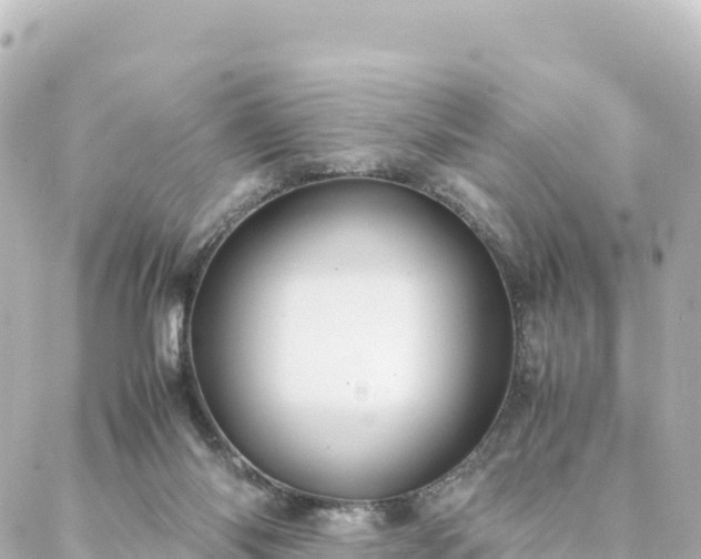 X0000088420118200705291510