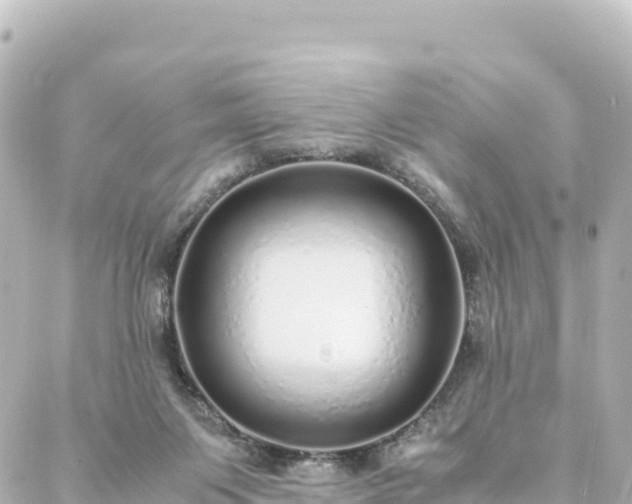 X0000088420119200705291510