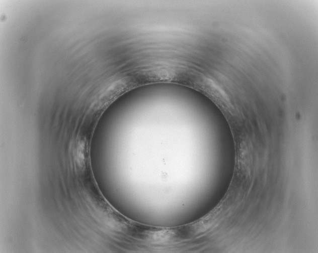 X0000088420122200705291510
