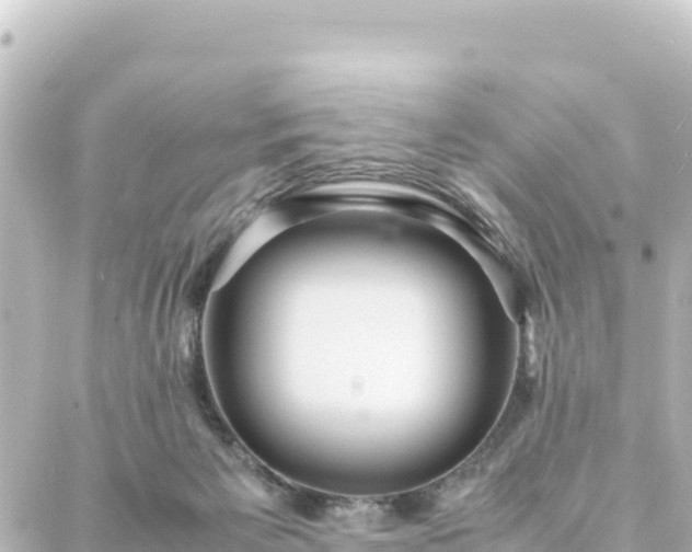 X0000088420125200705291509