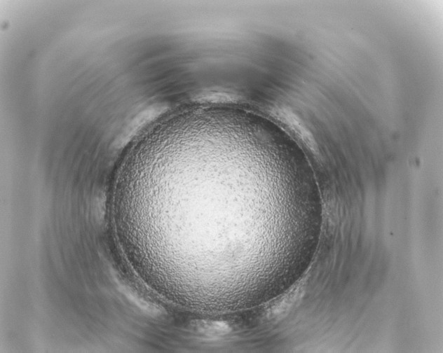 X0000088420159200705291509