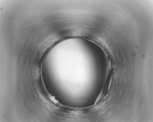 X0000088420164200705291509
