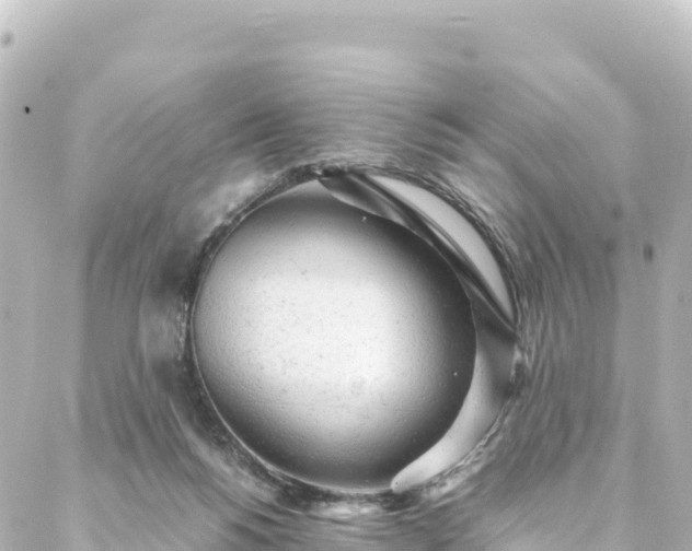 X0000088420168200705291509