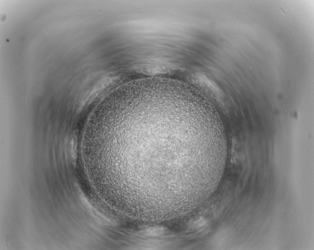 X0000088420210200705291508