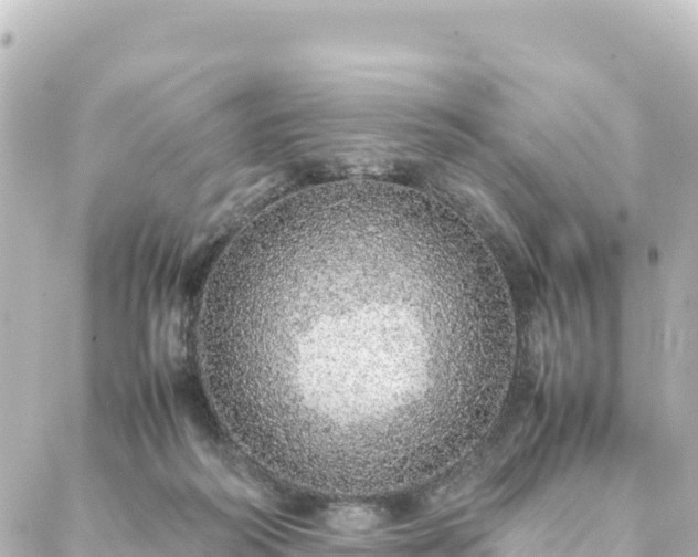 X0000088420218200705291508