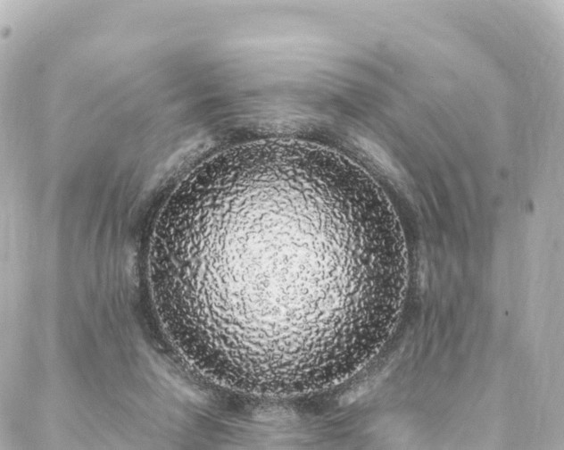 X0000088420258200705291507