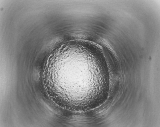 X0000088420259200705291507
